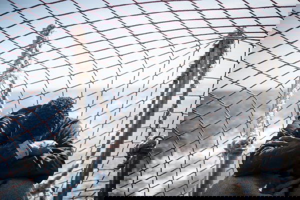 Onu contro il dl sicurezza bis : «Viola i diritti umani»