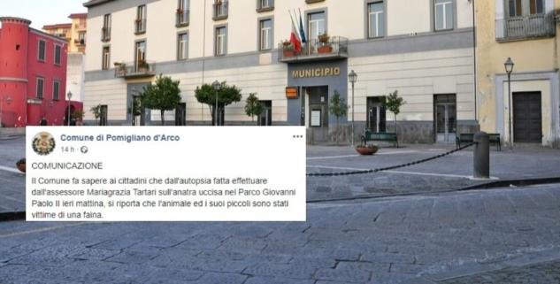 article-post