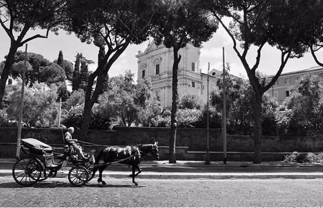 Virginia Raggi mantiene la promessa, dopo tre anni: stop alle botticelle (ma solo se fa tanto caldo)
