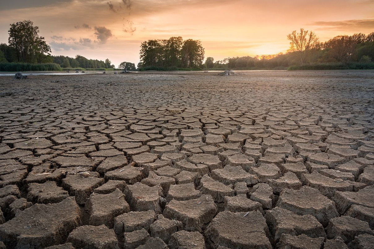 L’india brucia: caldo record e siccità hanno messo in ginocchio il Paese article-post