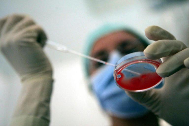 La Consulta ha deciso: le coppie gay non possono accedere alla procreazione assistita