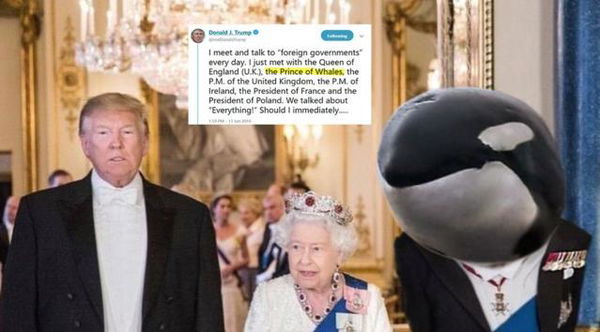 Secondo Trump, Carlo è il principe delle balene