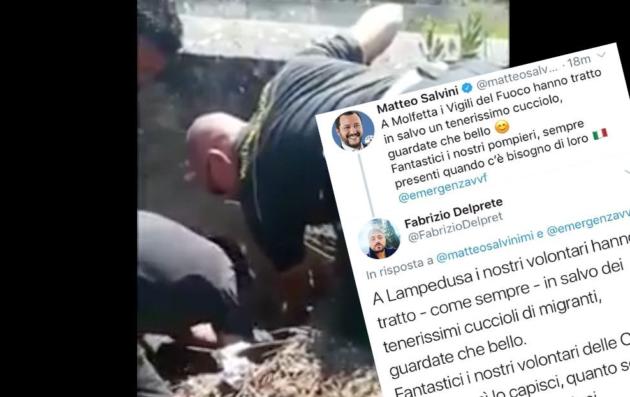 La risposta al video di Salvini sul salvataggio dei cuccioli: «A Lampedusa salvano ogni giorno cuccioli di migrante» article-post