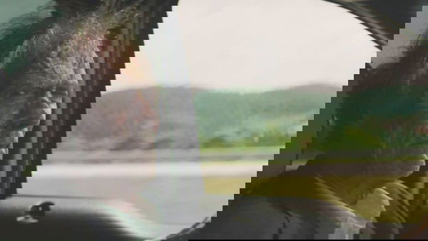 Il Corriere – The Mule: Clint Eastwood in Home Video