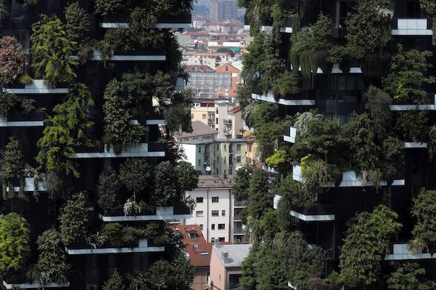 A Milano ci saranno più alberi che persone article-post