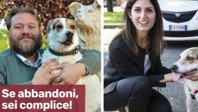 Abbandono cani