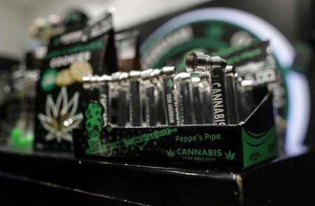 La sentenza sulla cannabis light: «Non conta la percentuale di Thc, ma l’effetto drogante» article-post