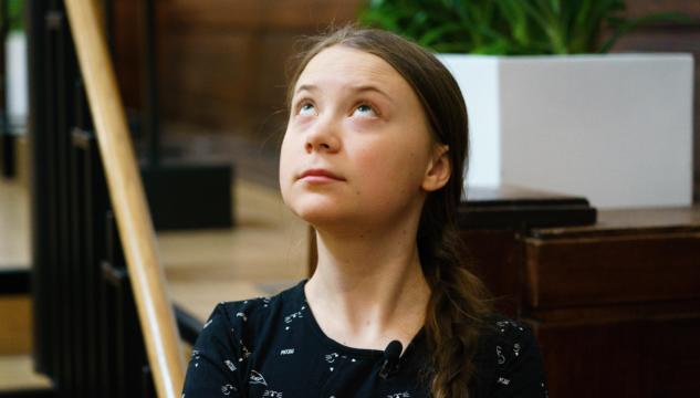 Greta-tax