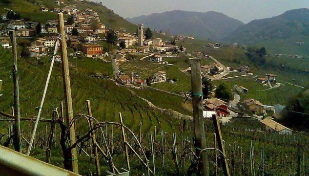 Prosecco