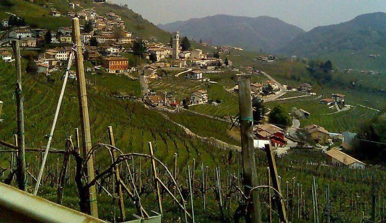 Le Colline del Prosecco sono patrimonio Mondiale dell’Umanità
