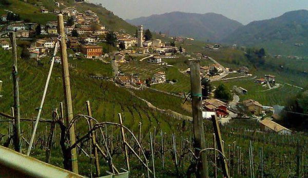 Le Colline del Prosecco sono patrimonio Mondiale dell’Umanità