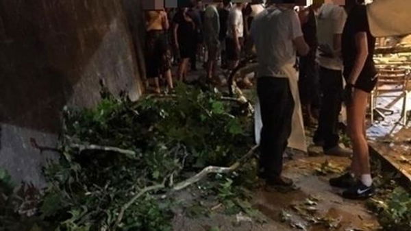 Roma, cade un ramo sulla banchina del Tevere: colpita una famiglia. Ricoverato anche un neonato