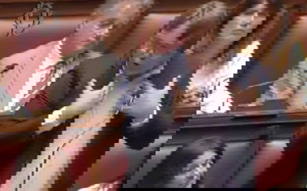 Sea Watch, il leghista: «Parlamentari Pd hanno dato copertura a chi voleva uccidere gli agenti»