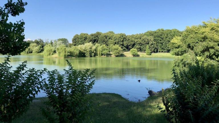 L’umanità smarrita in un parco di Milano: «Lascialo morire, brutta tr***a»