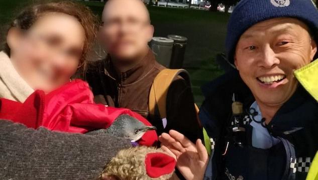 I pinguini della Nuova Zelanda fermati dalla polizia perché entrati, di nuovo, in un sushi bar