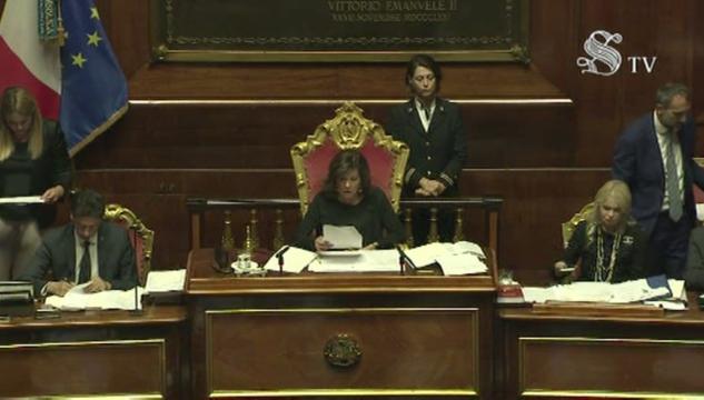 maggioranza senato