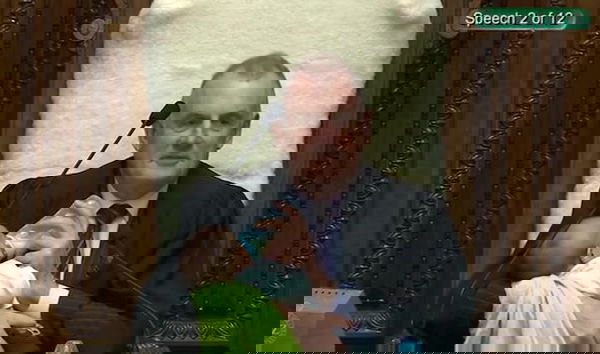 Nuova Zelanda, lo speaker della camera si occupa del figlio di un deputato mentre fa il suo intervento