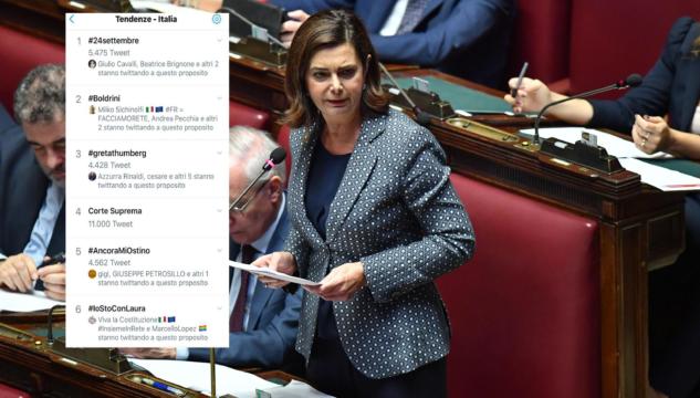 Laura Boldrini social