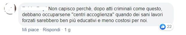 commento analfabeta funzionale