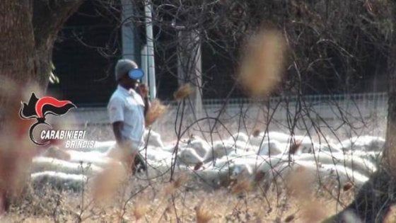 Caporalato, arrestati due agricoltori che avevano ridotto in semi schiavitù un giovane gambiano article-post