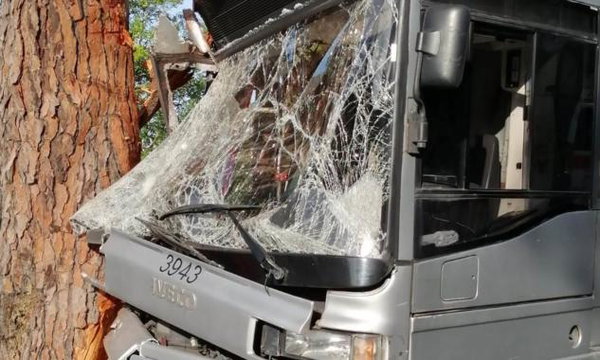 Un autobus si schianta contro un albero a Roma: 35 feriti