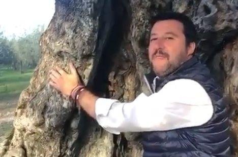 Salvini abbraccia gli alberi. Dalla Silvio-terapia alla Silvoterapia il passo è stato breve | VIDEO