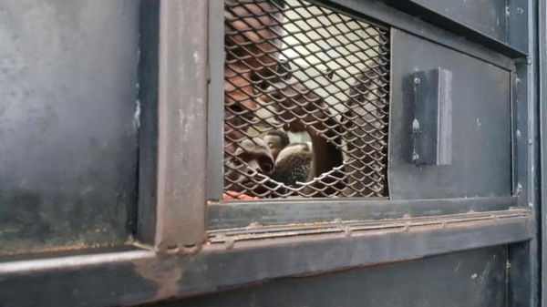 #StopAccordiconlaLibia: la mobilitazione di Possibile per risvegliare la coscienza del governo