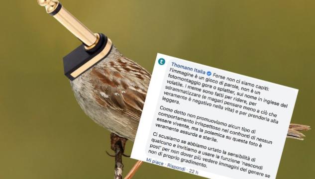 Thomann Italia