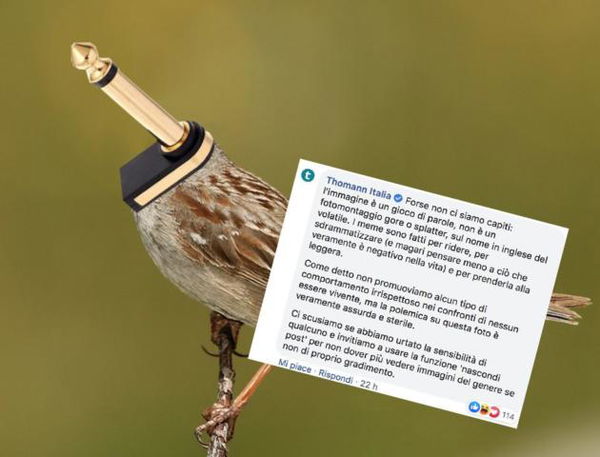Il fotomontaggio scherzoso di Thomann Italia che su Facebook viene attaccato come se fosse una foto vera