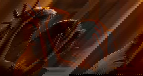 Shall We Dance, curiosità sul film con Richard Gere e Jennifer Lopez | STASERA IN TV