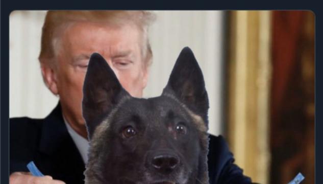 Trump ha condiviso una sua immagine modificata in cui premia il cane che ha scovato al Baghdadi
