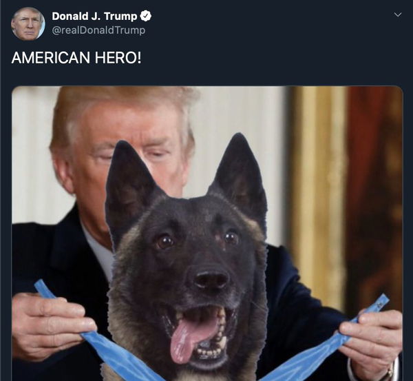 Trump ha condiviso una sua immagine modificata in cui premia un cane