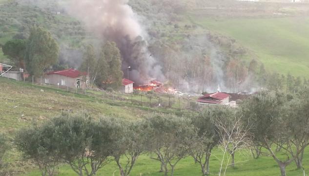 incendio ditta
