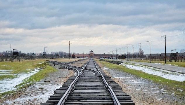 Predappio, niente fondi del Comune per la visita ad Auschwitz di due studenti: «Il treno della Memoria è di parte»