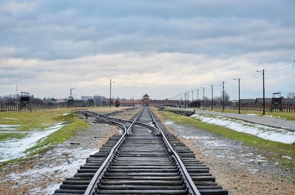Predappio, niente fondi del Comune per la visita ad Auschwitz di due studenti: «Il treno della Memoria è di parte»