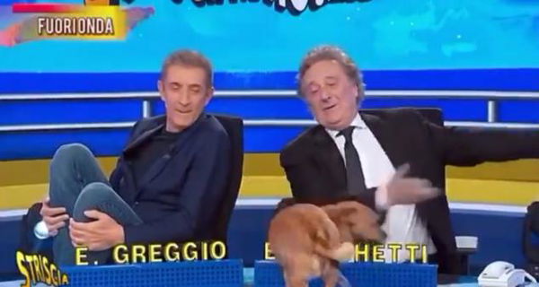 Ezio Greggio al cane: «Vai da Barbara D’Urso che è una collega» | VIDEO