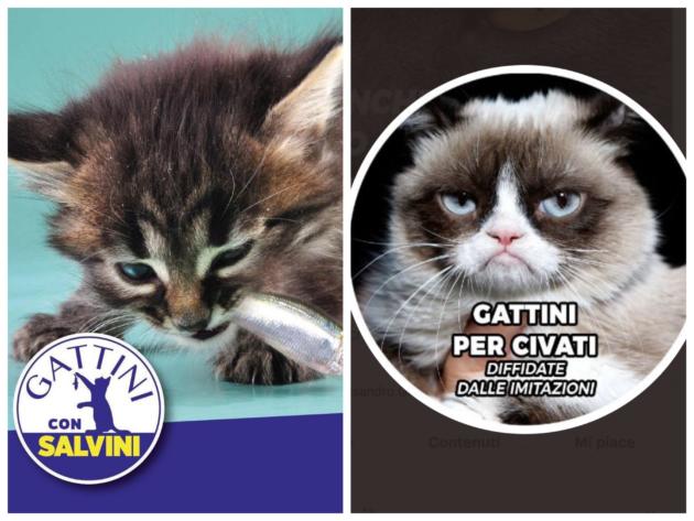 Come Salvini si è «appropriato» dei gattini di Civati e come l’idea si sta rivelando un boomerang article-post