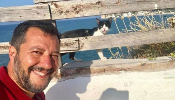 Salvini dice di preferire i gattini alle Sardine perché «se le mangiano quando hanno fame»