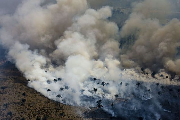 Amazzonia, arrestati 4 volontari di Ong che appiccavano gli incendi