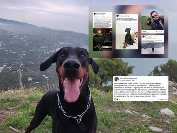 Il portavoce del sindaco leghista di Ferrara ha il cane Rommel che «chiama» Fürher il suo padrone