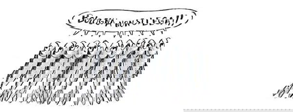 Le Seimila Sardine hanno registrato il loro marchio