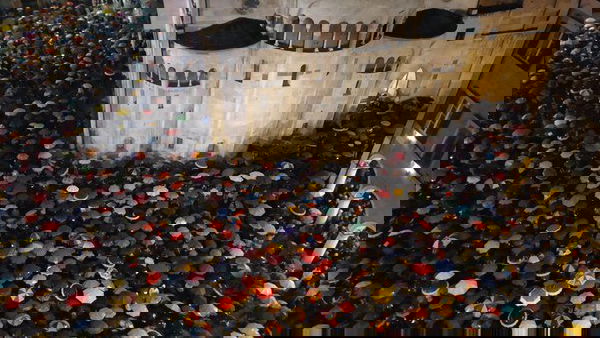 Modena, sardine e ombrelli: piazza Grande è una distesa colorata contro la Lega | VIDEO