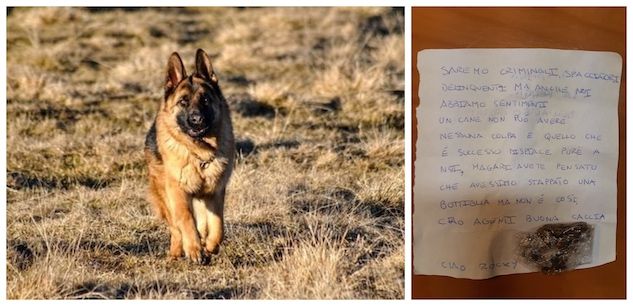 I pusher di Thiene omaggiano il cane antidroga deceduto: «Anche noi abbiamo un cuore»