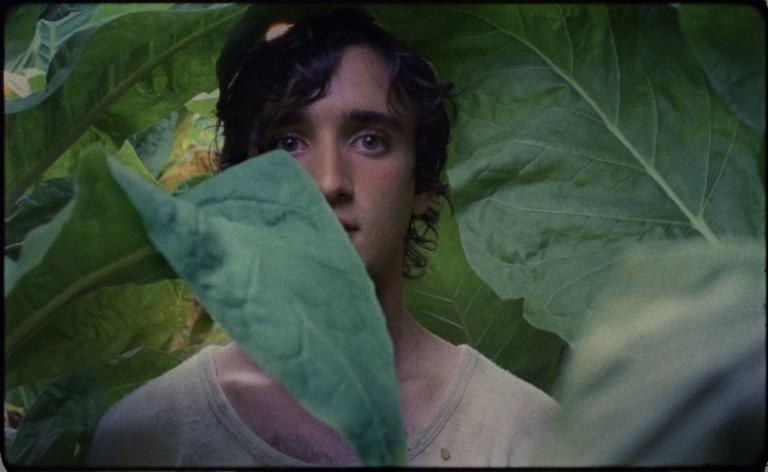 Lazzaro Felice 3° film dell’anno per il Guardian, un paradosso italiano