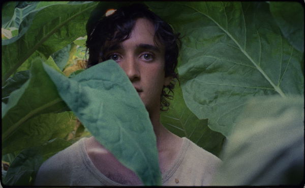 Lazzaro Felice 3° film dell’anno per il Guardian, un paradosso italiano