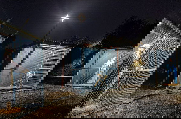 Se un presepe diventa un grido contro l’orrore del nostro tempo