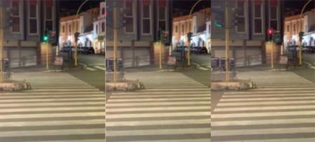 Quel semaforo senza ‘giallo’ che può aver provocato l’investimento di Gaia e Camilla | VIDEO article-post