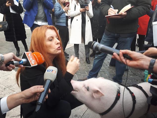 Vittoria Brambilla porta il maiale Dior a passeggiare a Montecitorio