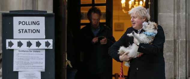 Non solo Dylin: i cani inglesi alle polling station invadono twitter