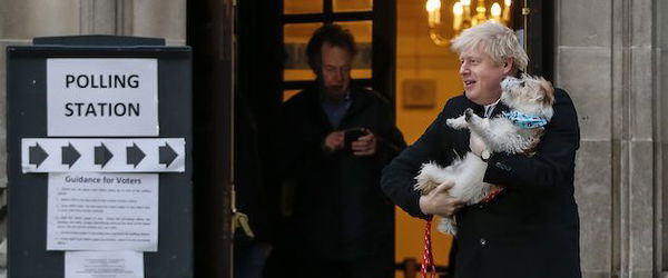 Non solo Dylin: i cani inglesi alle polling station invadono twitter